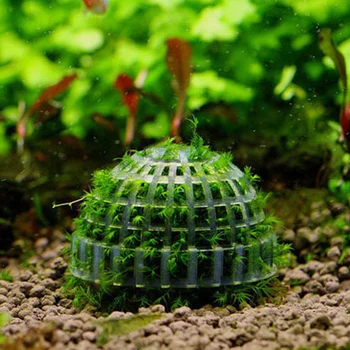 1PCS Akvariumo Žuvų Bakas Žiniasklaidos Moss Ball Gyvų Augalų Filtro Filtravimo Dekoro Filtrai, Reikmenys, Valymo Kokybė