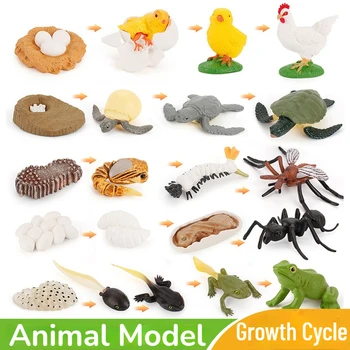 4Pcs/Set Modeliavimas Gyvūnų Augimo Ciklo Modeliai Vabzdžių Varlė Bičių Drugelis Veiksmų Statulėlės, Mokslo, Švietimo Žaislai Vaikams