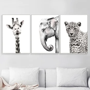 Gyvūnų žirafa, zebras Dramblys Sienos Meno Plakatas 