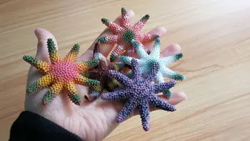 Mažo dydžio pvc 5vnt/set Kietosios jūrų gyvūnų modelio žaislas spalvos žvaigždė beskonis ir bekvapis