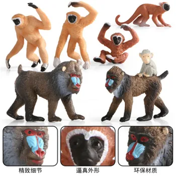 Naujas Modeliavimo Laukinių Gyvūnų Modelio, Žaislų Rinkinys Gibbon Beždžionė Orangutan Veiksmų Skaičius, Orangutan Pažinimo Švietimo Žaislas Vaikams
