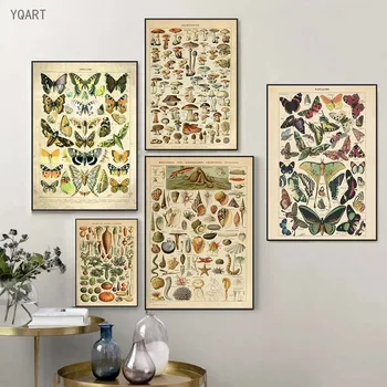 Vintage Stiliaus Mokslo Plakatai Daržovių, Vaisių, Grybų Paveikslų Spausdinimas ant Drobės Senovinės Sienos Meno Botanikos Nuotraukas, Namų Dekoro